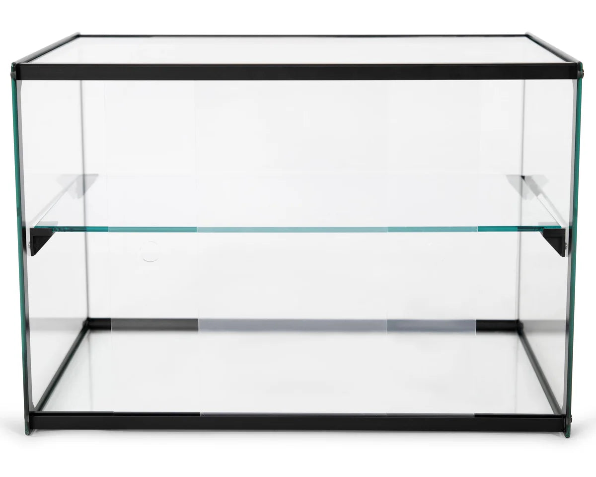 Vitrine à gâteaux en verre trempé - 555 x 390 x 375 mm