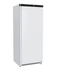 Armoire réfrigérée professionnelle - Blanc - 1 porte - 543 L