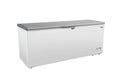 Congélateur bahut - inox - 650 L