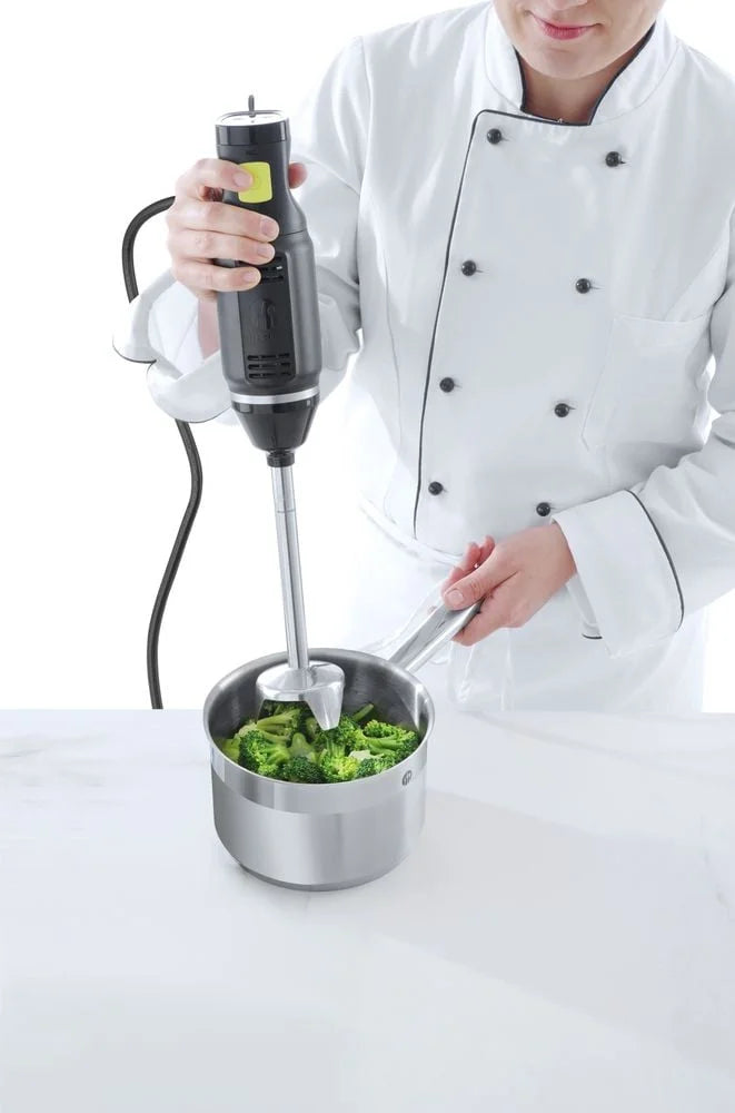 Mixeur plongeant Concept Line