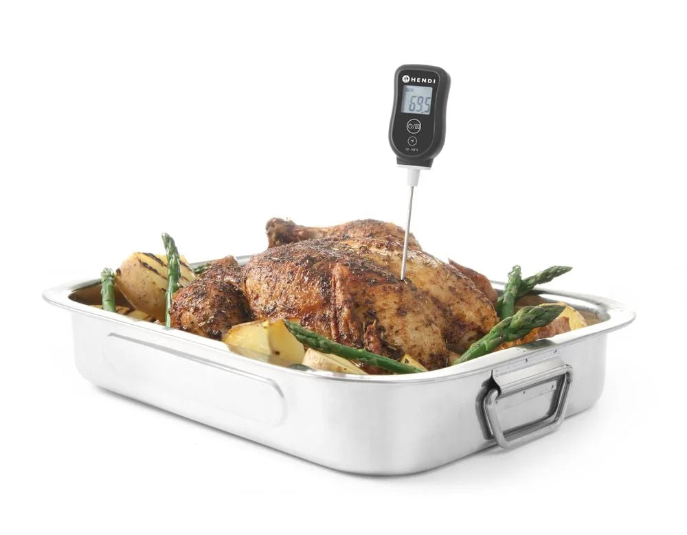 Thermomètre numérique avec sonde stylo 55-350 g