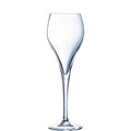 Arcoroc Brio flûte à champagne 16 cl