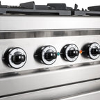 Cuisinière à gaz Série 700 - 110/70 avec four électrique - 6 feux - 42 kW