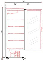 Armoire de congélation en acier inoxydable Coreco US Range 650 avec porte vitrée