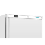 Armoire de congélation de stockage Polar 600L