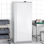 Armoire de congélation ECO 590 L, 1 porte verrouillable, blanc