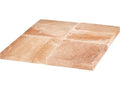FORCAR Bloc de sel pour Dry-Ager G-GDPH508C
