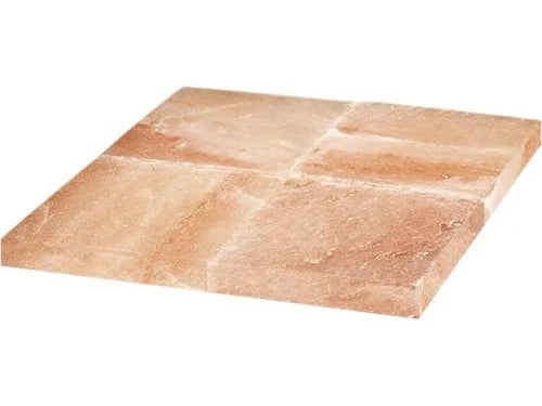FORCAR Bloc de sel pour Dry-Ager G-GDPH508C