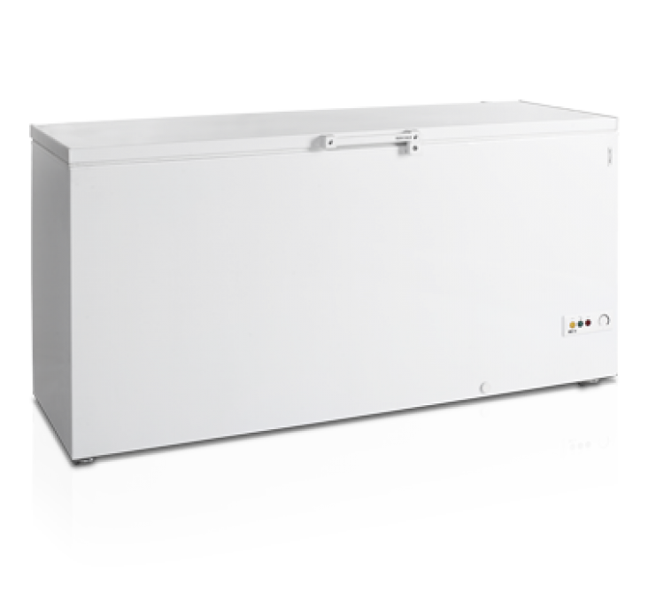 Congélateur bahut FR605-I