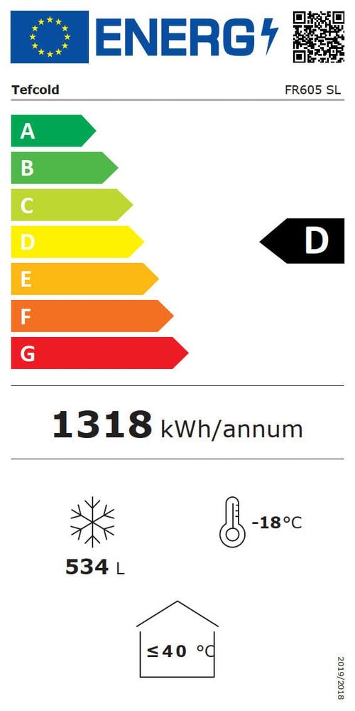 Congélateur bahut FR605-I