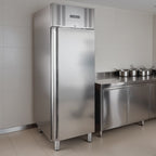 Armoire de congélation ELINE 650 GN 2/1 Monobloc - haute efficacité énergétique